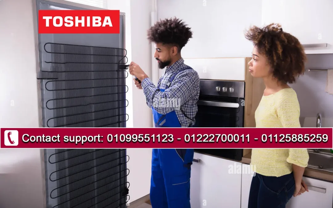 صيانة ديب فريزر توشيبا في مصر بضمان 1 عام من Toshiba العربي